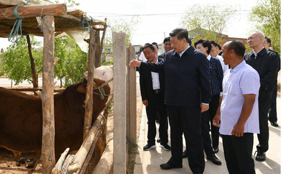 e80850720418486eb5988efe2d58da44.png image.png